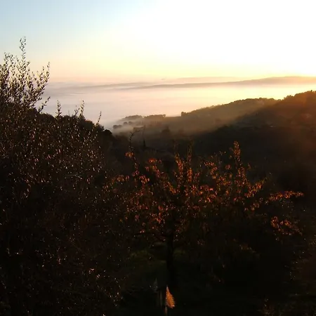 Santa Maria * Montalcino